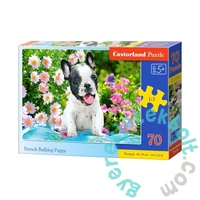 Castorland 70 db-os puzzle - Francia bulldog kiskutya (B-070152)