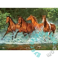 Castorland 300 db-os puzzle - Rohanás a folyóban (B-030361)