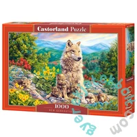 Castorland 1000 db-os puzzle - Új generáció (C-104420)