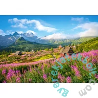 Castorland 1000 db-os puzzle - Hala Gasienicowa, Tátra, Lengyelország (C-104512)