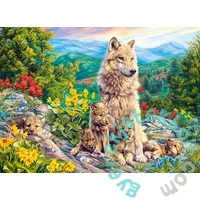 Castorland 200 db-os puzzle - Új generáció (B-222087)