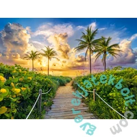 Castorland 3000 db-os puzzle - Napkelte Miami-ban (C-300617)