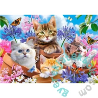 Castorland 500 db-os puzzle - Cicák a virágok között (B-53513)