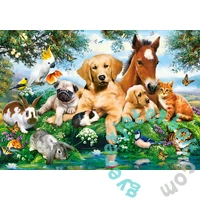 Castorland 500 db-os puzzle - Nyári cimborák (B-53230)