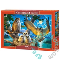 Castorland 500 db-os puzzle - Bagoly család (B-53322)