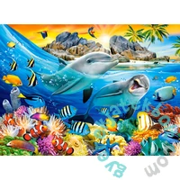 Castorland 100 db-os puzzle - Delfinek a trópusokon (B-111169)