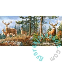 Castorland 4000 db-os puzzle - Szarvasok - A Királyi család (C-400317)