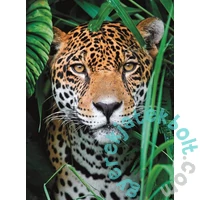Clementoni 500 db-os puzzle - High Quality Collection Jaguár a Dzsungelben (35127)