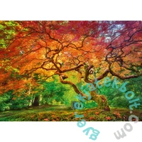 CherryPazzi 1000 db-os puzzle - Aterial Spray (30530)