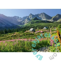 CherryPazzi 1000 db-os puzzle - Gasienicowa hall in Tatras (30059)