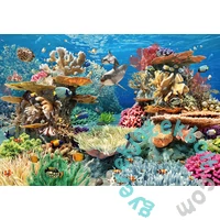 CherryPazzi 500 db-os puzzle - Living Reef (20005)
