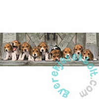 Clementoni 1000 db-os COMPACT - Panoráma puzzle - Beagles (39869)