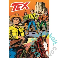 Clementoni 1000 db-os puzzle  COMPACT puzzle - High Quality Collection - Tex (39840)