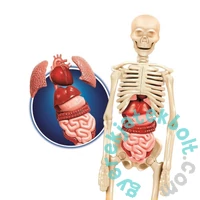 Clementoni - Science &amp; Play - Lab - Emberi test (50227)