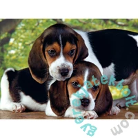 Clementoni 500 db-os puzzle - Egymáshoz közel (30289)