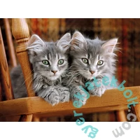 Clementoni 500 db-os puzzle - Cicák (30545)