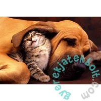 Clementoni 500 db-os puzzle - Kutya és cica (35020)