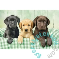 Clementoni 1000 db-os puzzle - Labrador kölykök (39279)