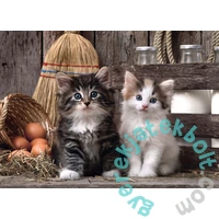 Clementoni 1000 db-os puzzle - Cicák (39340)