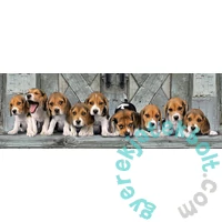 Clementoni 1000 db-os Panoráma puzzle - Beagle kiskutyák (39435)
