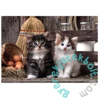 Clementoni 1000 db-os Compact puzzle - High Quality Collection - Lovely Kittens (39943)