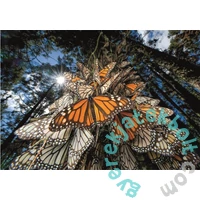 Clementoni 1000 db-os Compact puzzle - National Geographic Collection - Pompás királylepkék (39732)