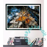 Clementoni 1000 db-os Compact puzzle - National Geographic Collection - Pompás királylepkék (39732)