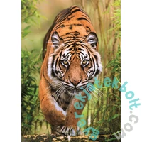 Clementoni 1000 db-os puzzle - The Hunter's Path (37108)