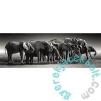 Clementoni 1000 db-os - High Quality Collection - Compact Panoráma puzzle - Herd Of Gigants (39895)