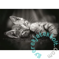 Clementoni 1000 db-os Compact puzzle - High Quality Collection - Kitty (39950)
