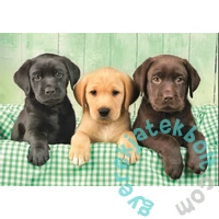 Clementoni 1000 db-os Compact puzzle - High Quality Collection - Three Labs (39946)