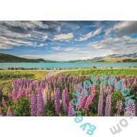 Clementoni 1500 db-os Compact puzzle - High Quality Collection - Lupins at lake Tekapo (31731)