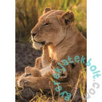 Clementoni 500 db-os puzzle - Feline Love (35620)