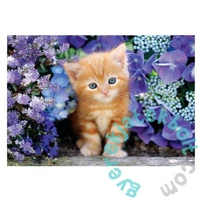 Clementoni 500 db-os Compact puzzle - High Quality Collection - Ginger Cat (35585)
