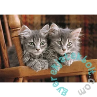 Clementoni 500 db-os COMPACT puzzle - High Quality Collection - Kittens (35580)