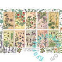 Cobble Hill 1000 db-os puzzle - Botanicals by Verneuil (40191)