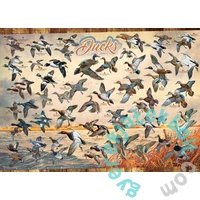 Cobble Hill 1000 db-os puzzle - Ducks of North America (40177)