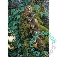 Cobble Hill 1000 db-os puzzle - Family Tree (40170)