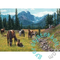 Cobble Hill 1000 db-os puzzle - Horse Meadow (40156)