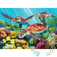 Cobble Hill 350 db-os Family puzzle - Molokini Current (47020)