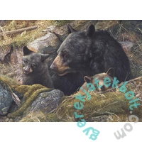 Cobble Hill 1000 db-os puzzle - Twice the Love (80012)