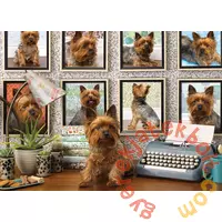 Cobble Hill 1000 db-os puzzle - Yorkies Are My Type (80038)