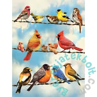 Cobble Hill 500 db-os puzzle - Birds on a Wire (45046)
