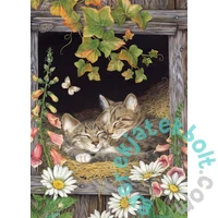 Cobble Hill 500 db-os puzzle - Sisters (45041)