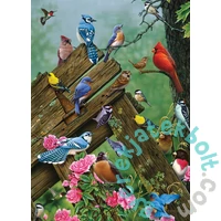 Cobble Hill 1000 db-os puzzle - Birds of the Forest (40167)