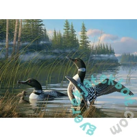 Cobble Hill 1000 db-os puzzle - Common Loons (40175)