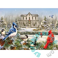 Cobble Hill 1000 db-os puzzle - Country House Birds (40039)