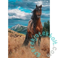 Cobble Hill 1000 db-os puzzle - Freedom (40190)