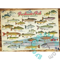 Cobble Hill 1000 db-os puzzle - Freshwater Fish of North America (40181)