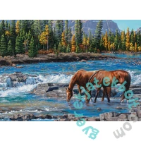 Cobble Hill 1000 db-os puzzle - On the Rocks (40267)